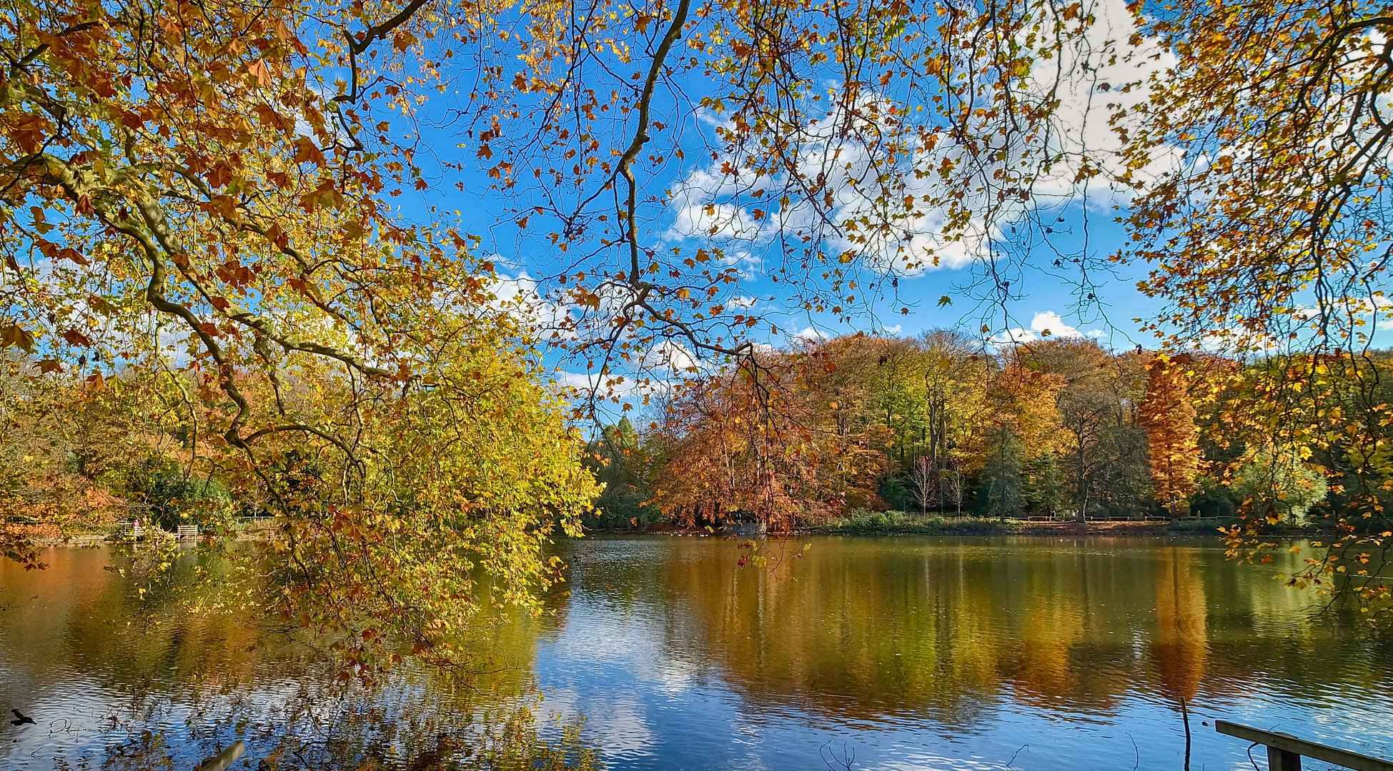 Blauer Montag im Rombergpark