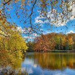 Blauer Montag im Rombergpark