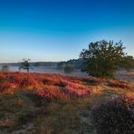 Blauer Montag in der Heide