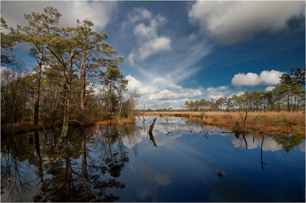 Blauer Montag  - Pietzmoor -