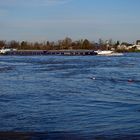 Blauer Montag. Rhein Hochwasser