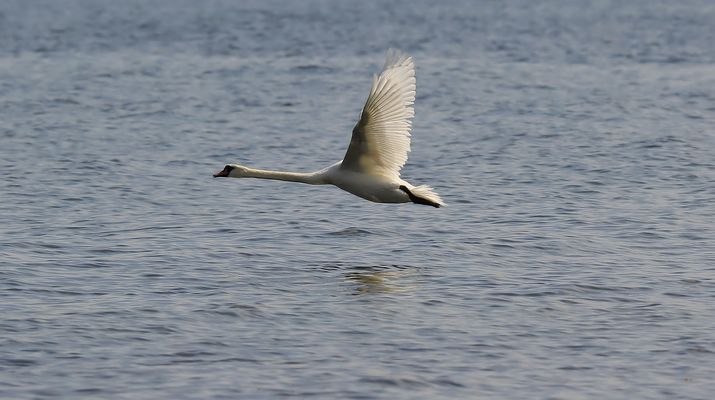 °°°°°---- blauer Montag über blauer Ostsee ----°°°°°