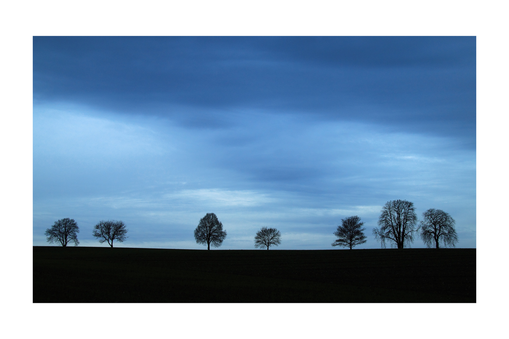 Blauer Morgen