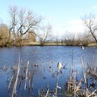 blauer Morgen am Teich