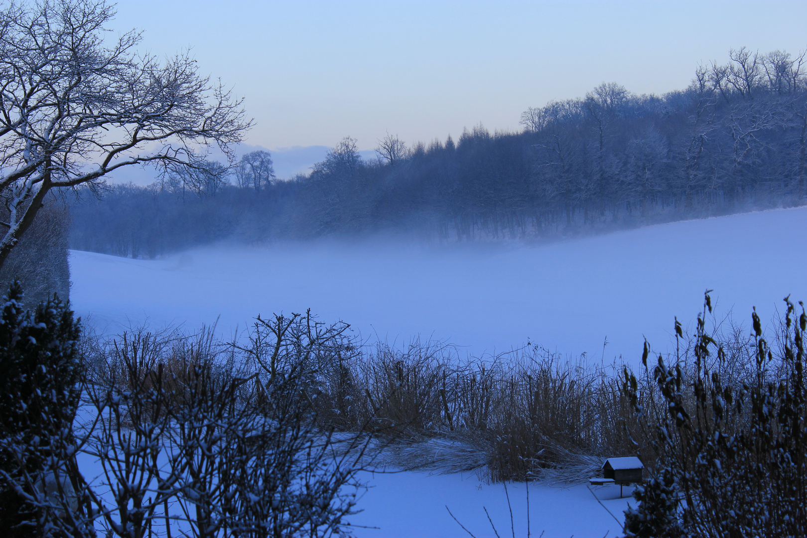 blauer Nebel