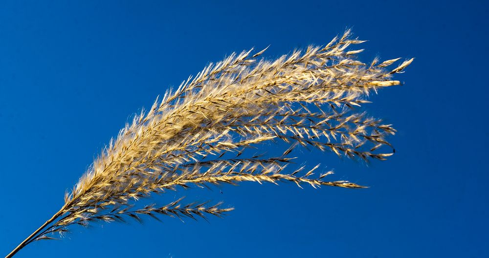 Blauer Novemberhimmel