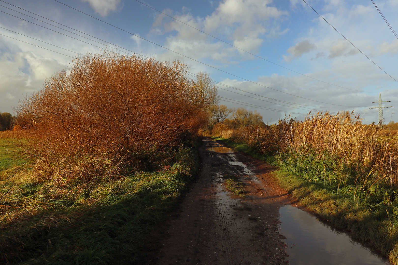 Blauer Novemberhimmel