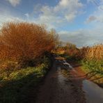 Blauer Novemberhimmel