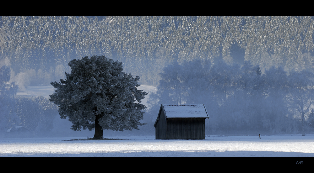 Blauer Schleier