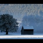 Blauer Schleier