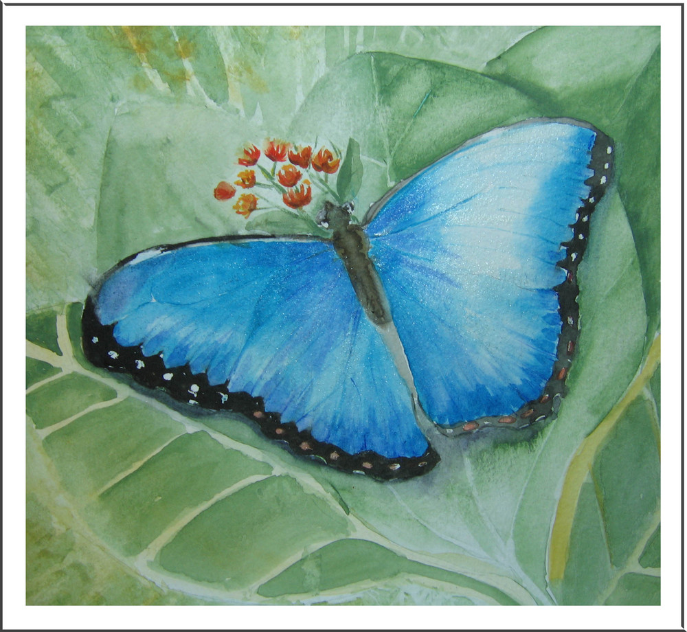 Blauer Schmetterling