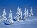 blauer Schnee von Michael Günther