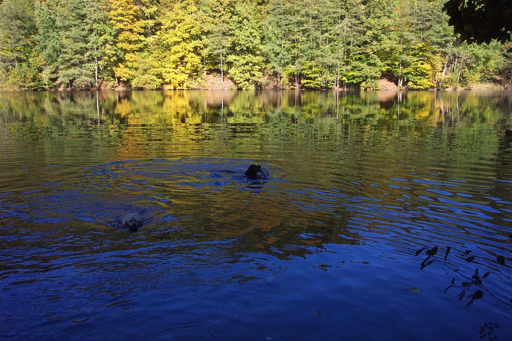 Blauer See