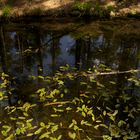 Blauer See