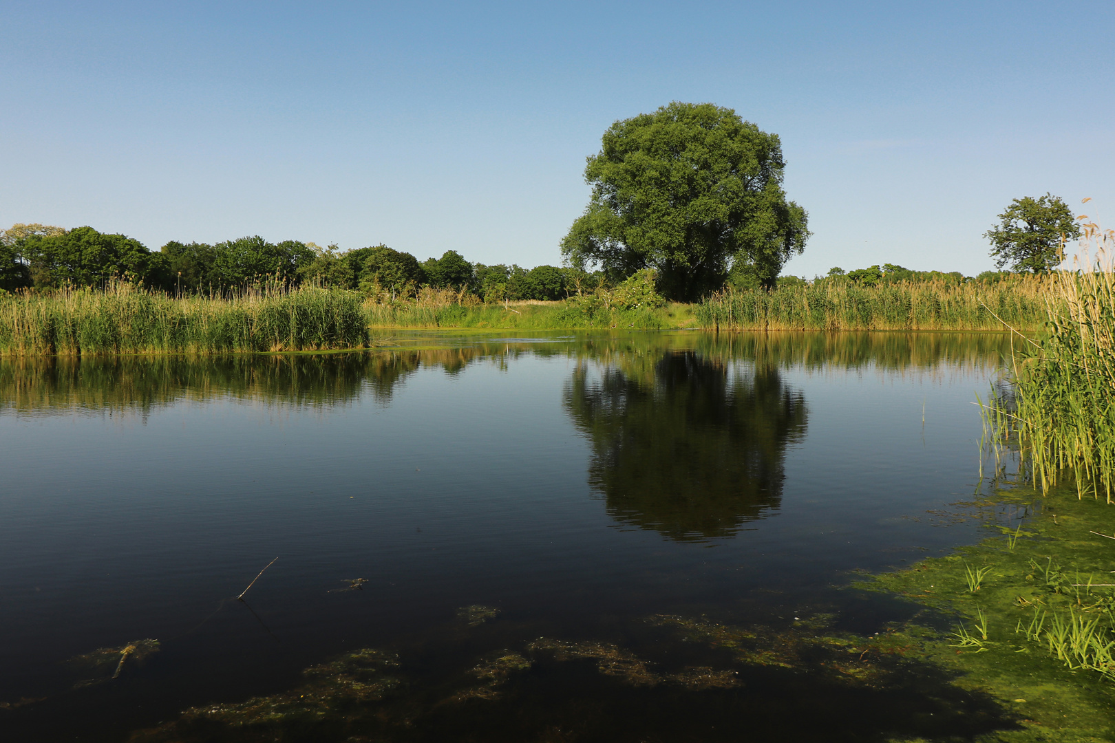 Blauer Sommertag