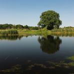 Blauer Sommertag