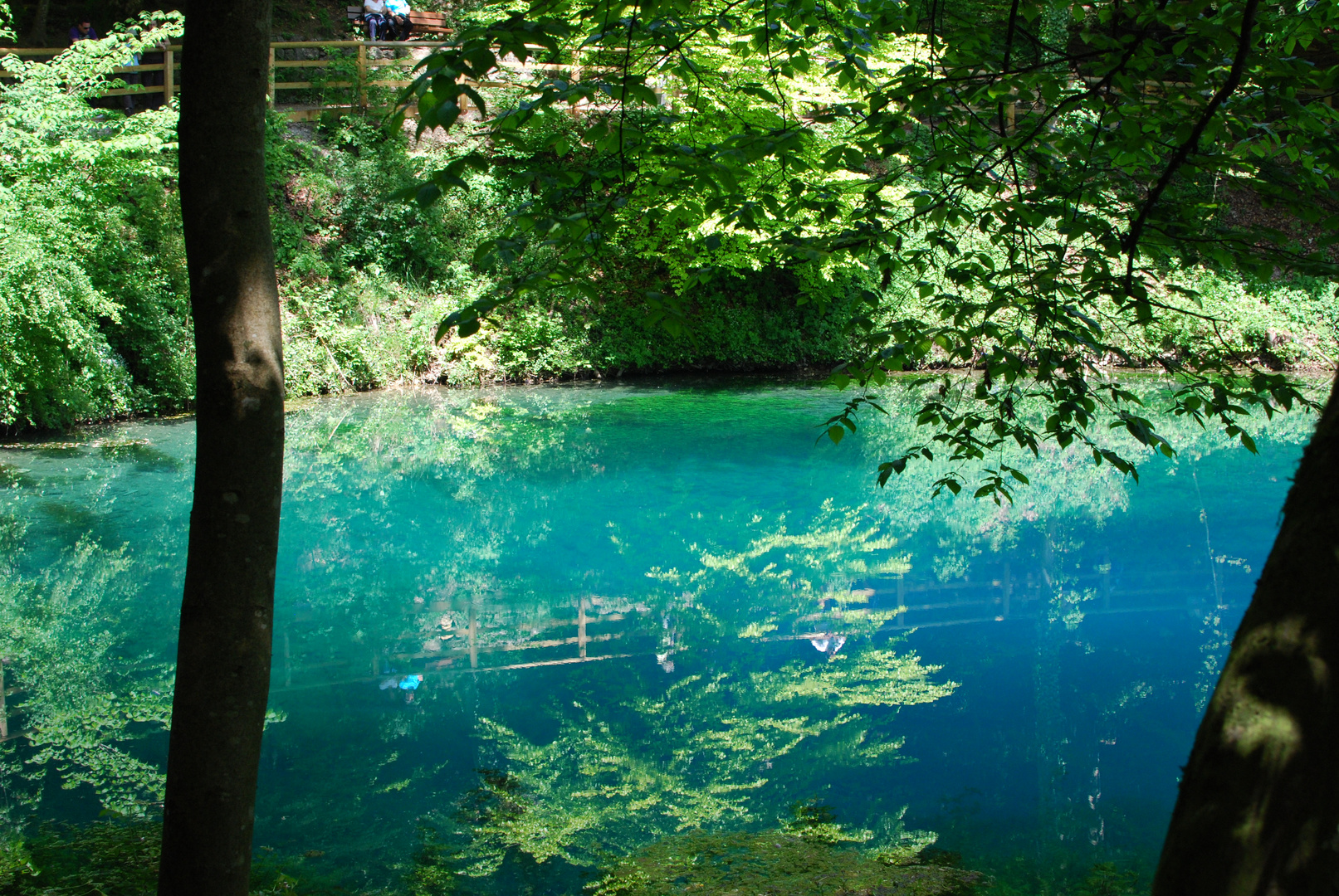 Blauer Topf Blaubeuren