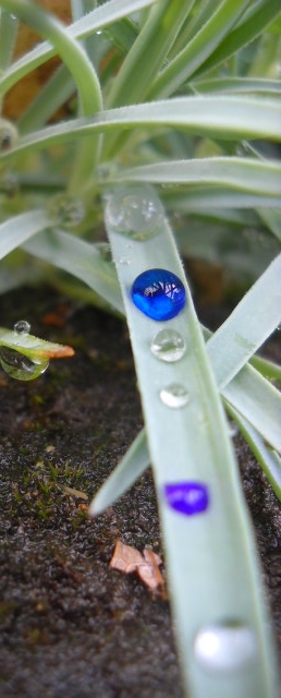 Blauer Tropfen.