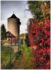 Blauer Turm in Sommerhausen