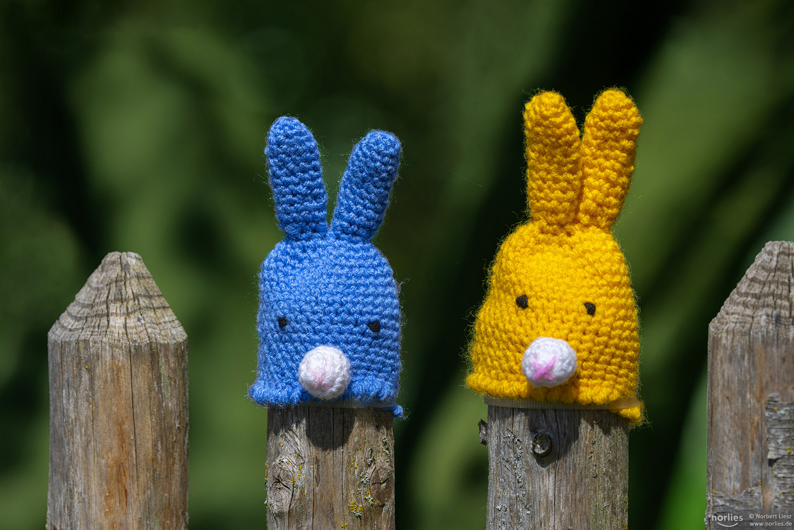Blauer und gelber Hase