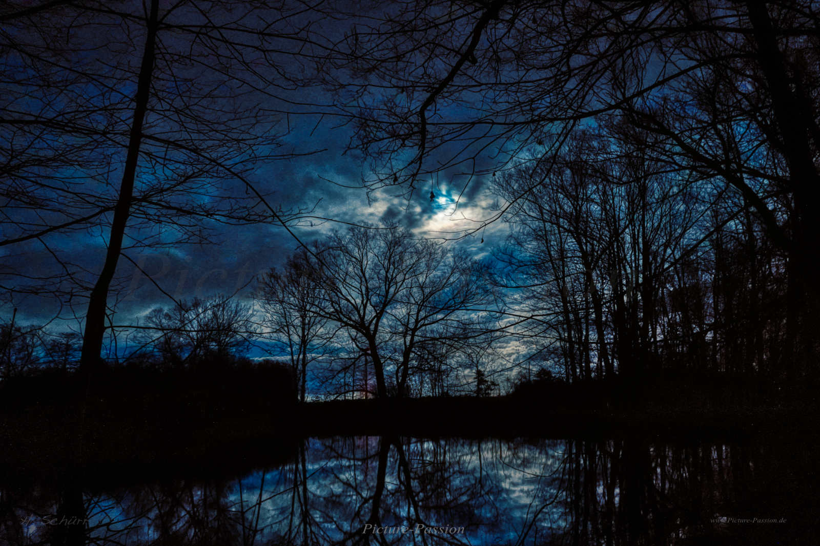 Blauer Vollmond am See