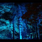 Blauer Wald....