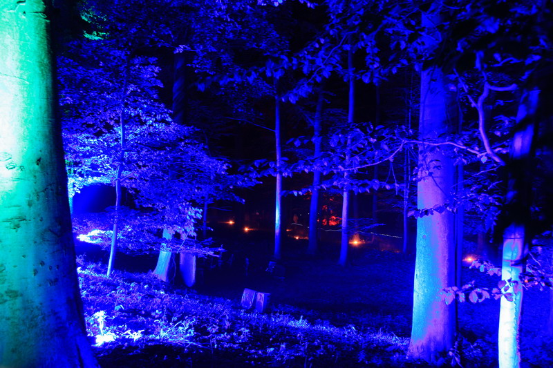 Blauer Wald, Schloß Dyck Illumina 2009