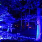 Blauer Wald, Schloß Dyck Illumina 2009