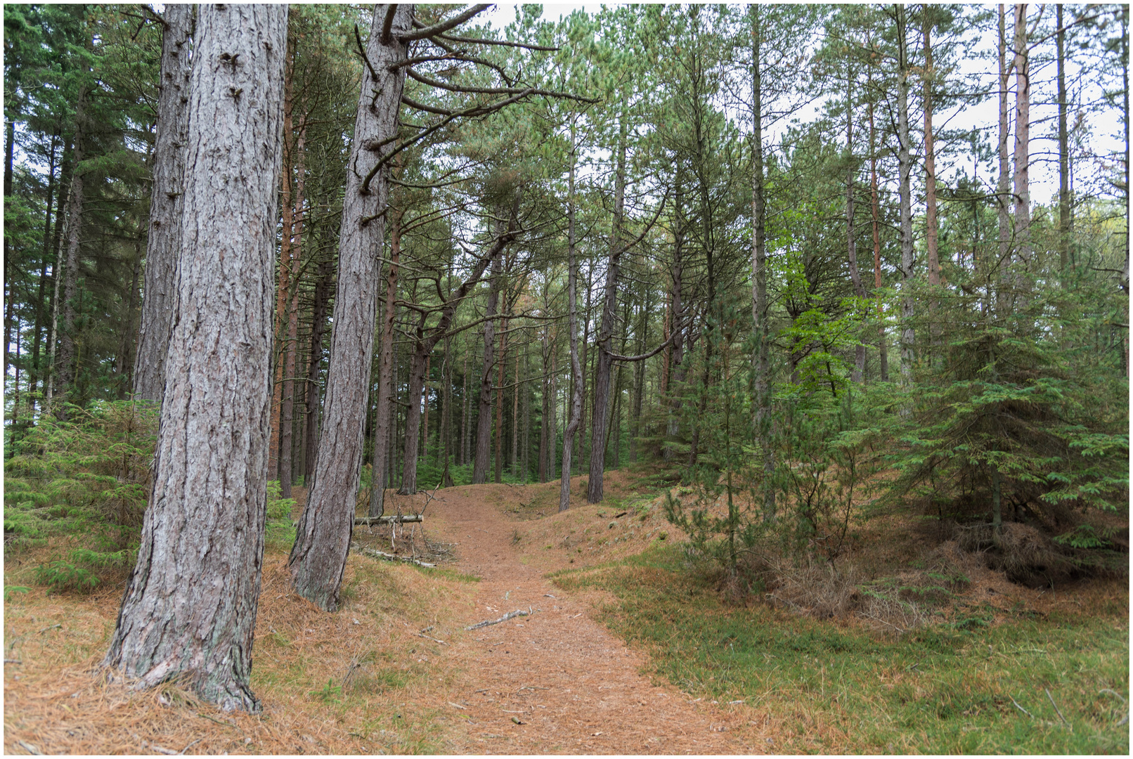 Blauer Wanderweg