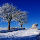 Blauer Winter