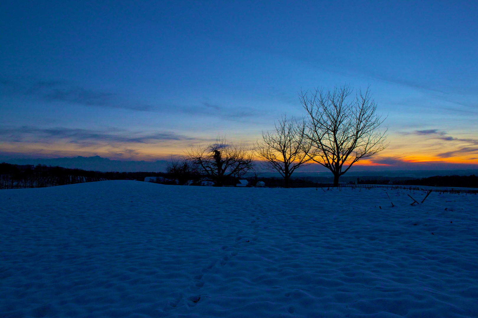 Blauer Winterabend