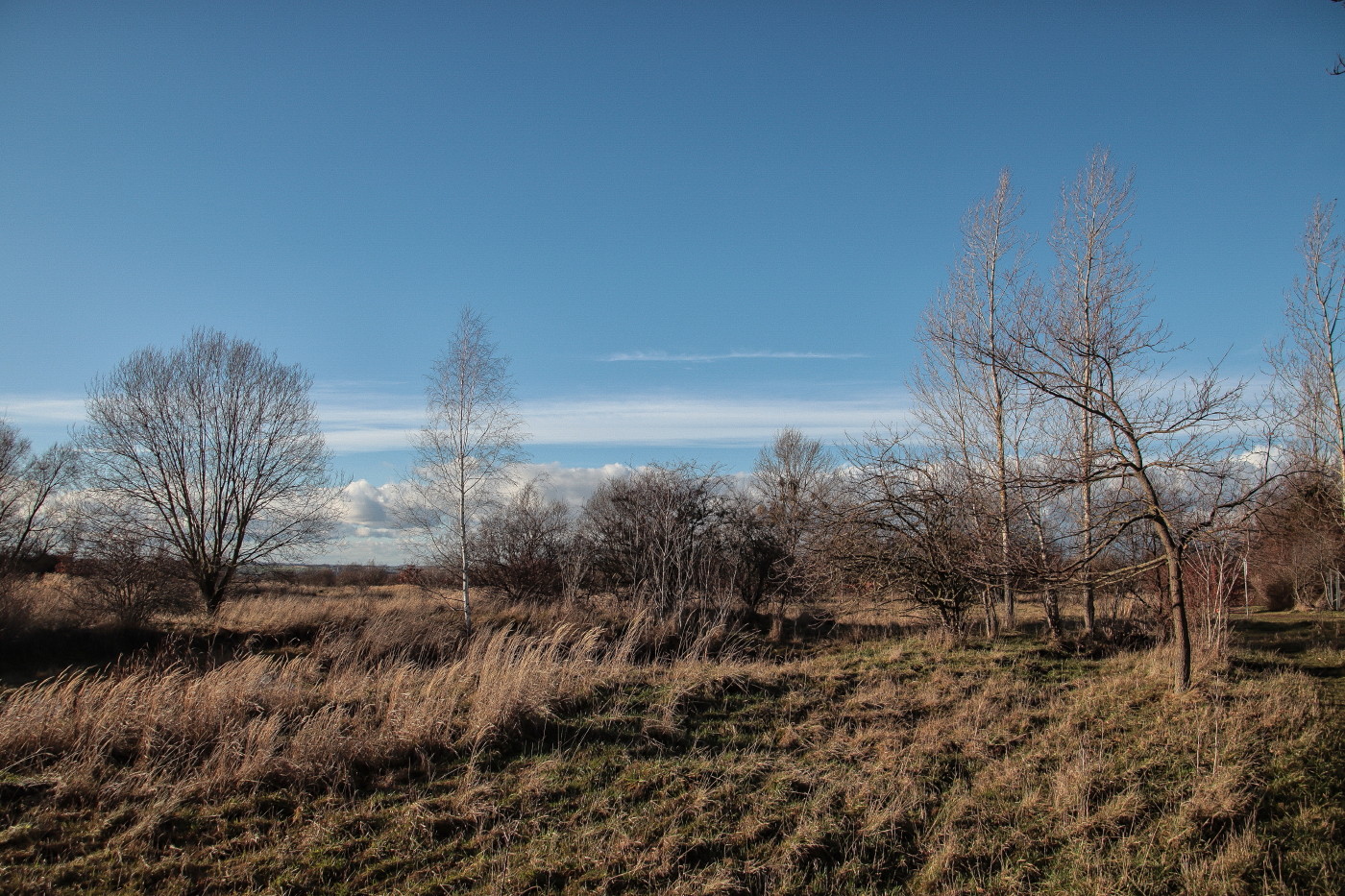 Blauer Winterhimmel