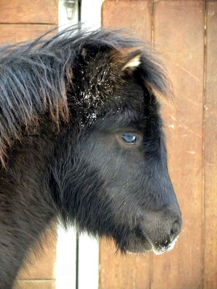 blaues Auge