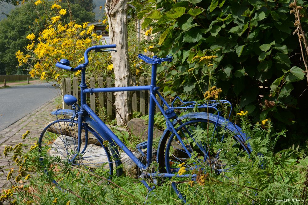 Blaues Fahrrad