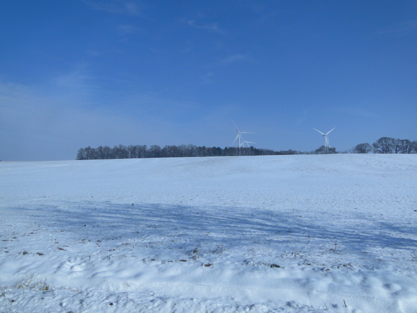 blaues Feld