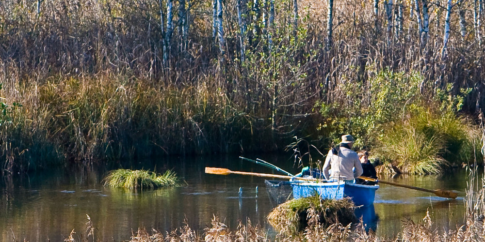 BLAUES FISCHERBOOT IM SCHILF