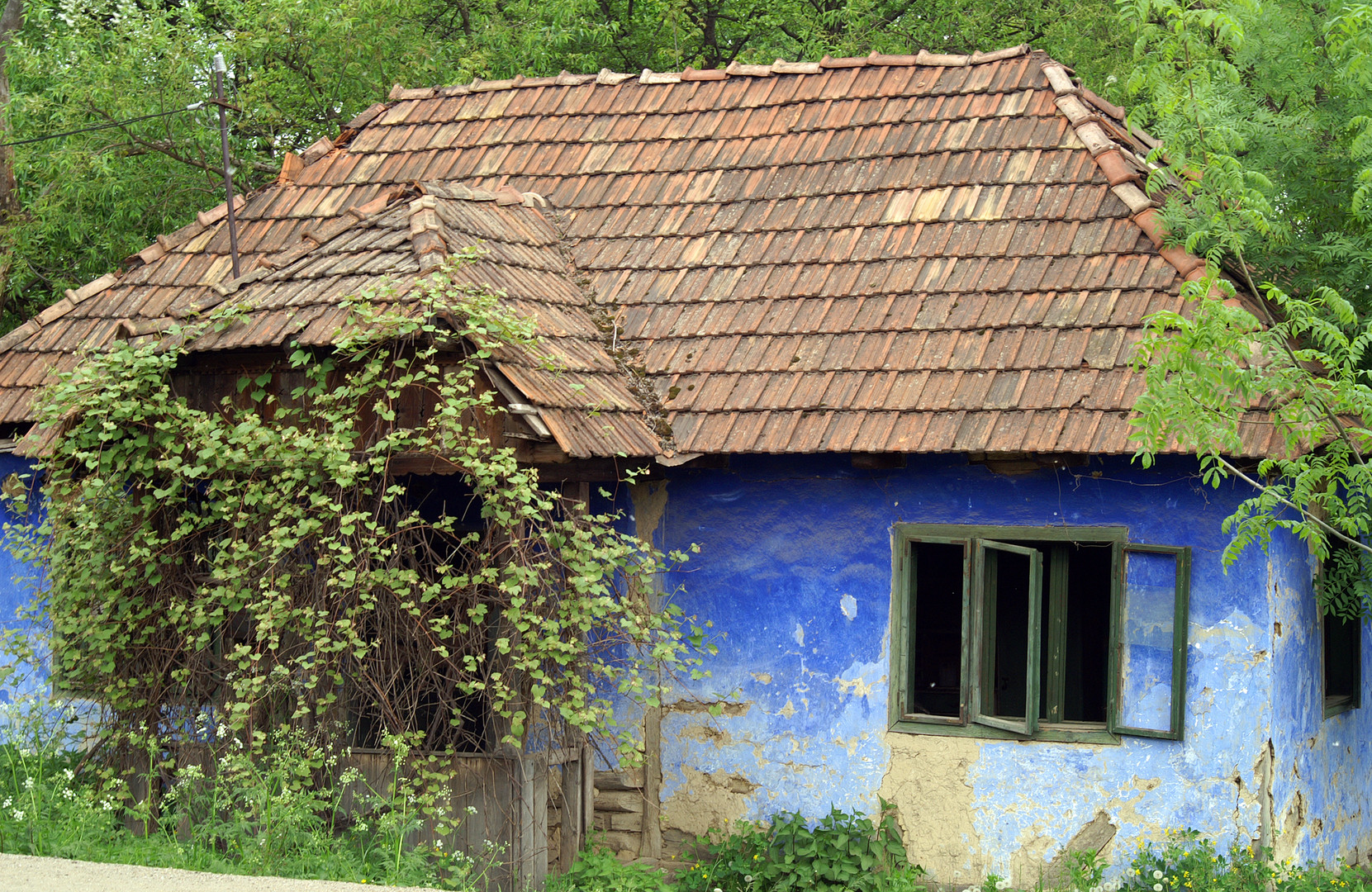 Blaues Haus im Grünen