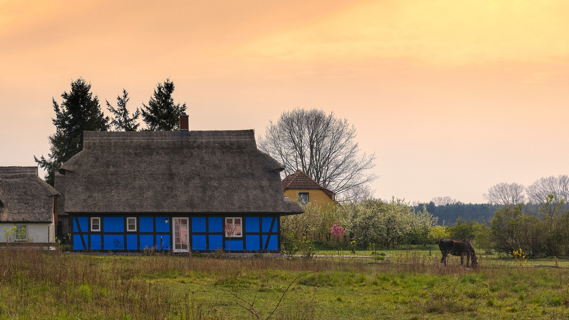 Blaues Haus mit Pferd