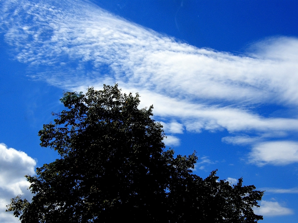 Blaues Himmel