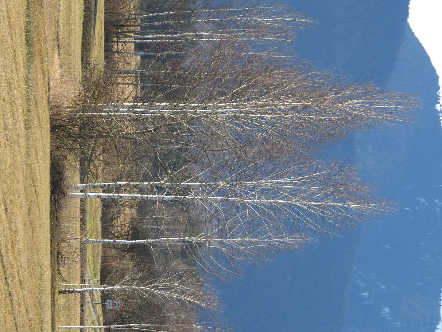 Blaues Land bei Murnau und Ohlstadt