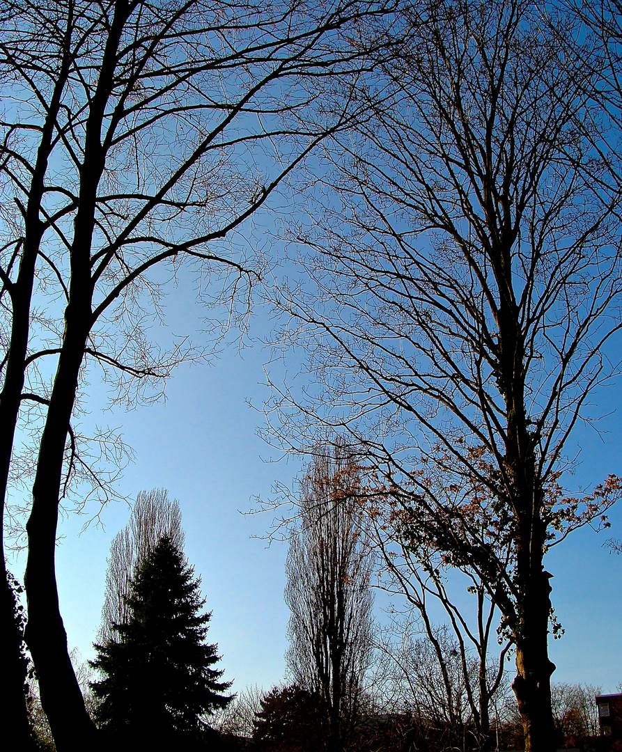 blaues, laues Lüftchen