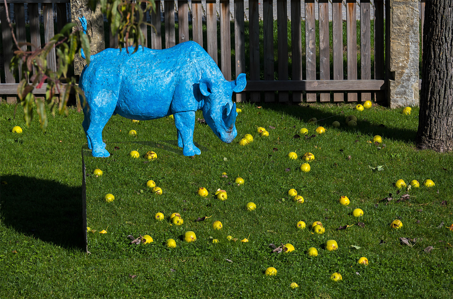 blaues (Montags)Nashorn