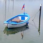 blaues Schleiboot