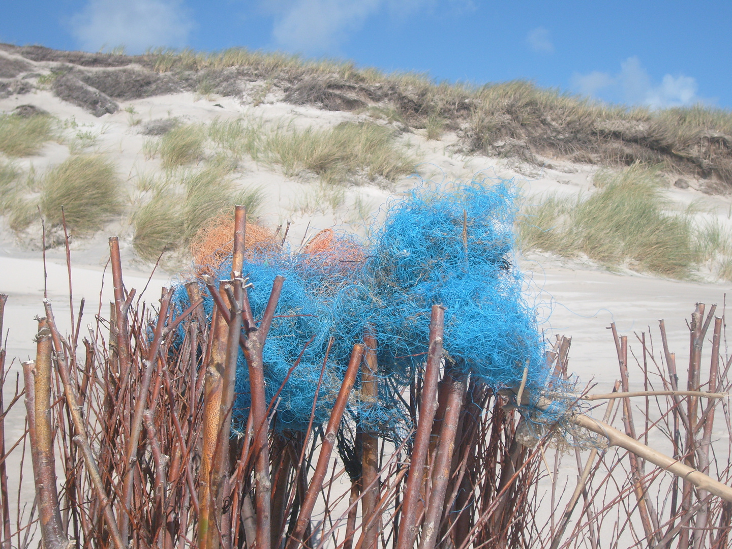 blaues strandgut, farbtupfer an den dünen von hörnums weststrand