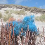 blaues strandgut, farbtupfer an den dünen von hörnums weststrand