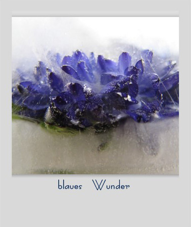 blaues wunder