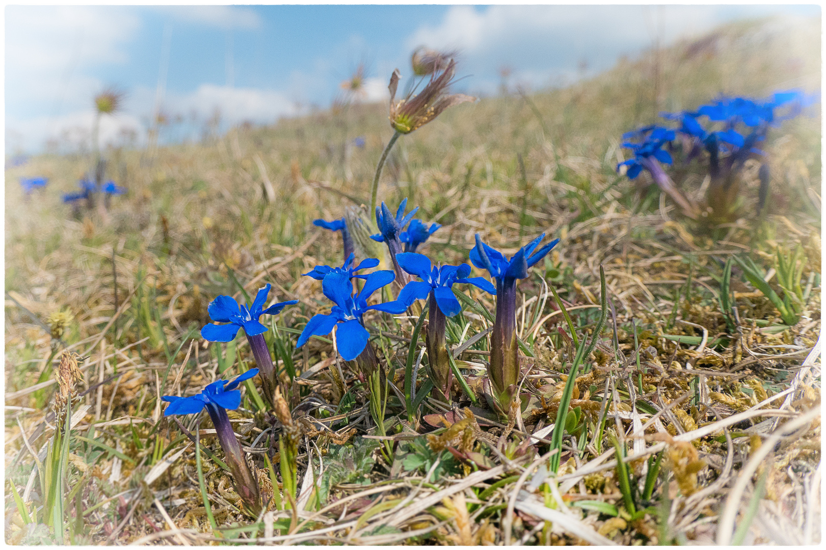 Blaues Wunder