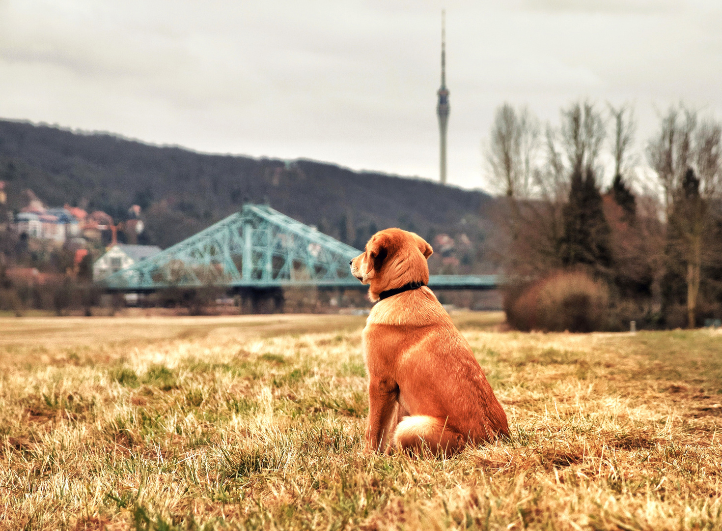 Blaues Wunder erleben