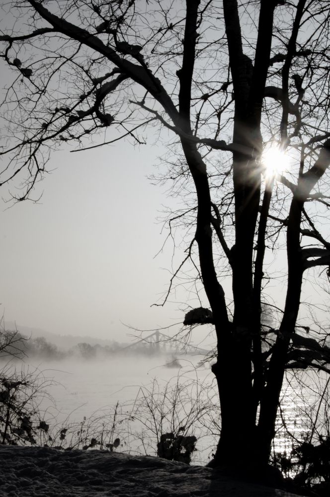 Blaues Wunder morgens halb zehn von oma 81 