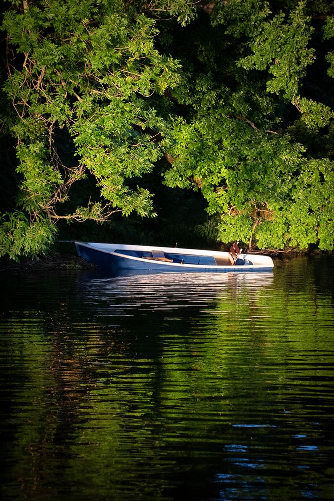 ~ BLAUESRUDERBOOT ~